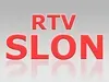 Radio Slon