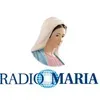 Radio Maria (Cuenca)