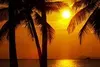 Radio Art - Chillout && Tropical