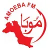 AMOEBA FM