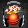 Cricket Commentary Hindi