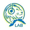 Radio Babboleo LAB