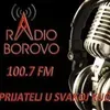 Radio Borovo