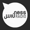 Ness Radio