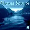 Digital Impulse - Ambient Nature Sounds