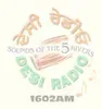 Desi Radio