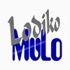 Lodiko Mulo