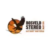 Bosveld Stereo