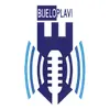 Bijelo-plavi radio