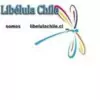 LibelulaChile señal 1
