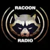 Racoon Radio (Mérida) - Online - Mérida, YU