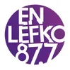 En Lefko Electronica