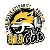 KWSC-FM 91.9 The Cat (128k MP3)