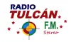 Radio Tulcán 94.1 FM (AAC)