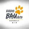 RMC Radio Bau && Co
