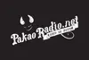 Pakao Radio