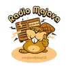 Radio Majava