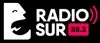 Radio Sur - FM 88.3 mhz