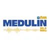 Radio Medulin