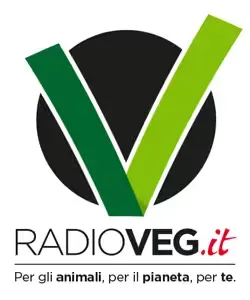 Radio Vegit