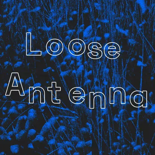 Loose Antenna
