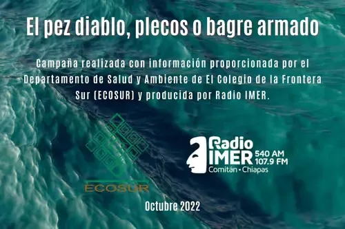 Radio IMER (Comitán) - 107.9 FM / 540 AM - XHEMIT-FM / XEMIT-AM - IMER - Comitán, CS