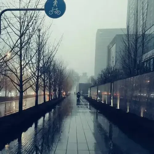 雨声