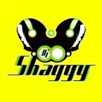 Dj Shaggy Venezuela