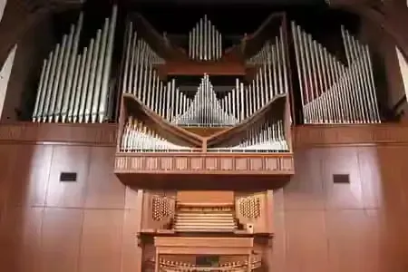 Radio Art - Organ