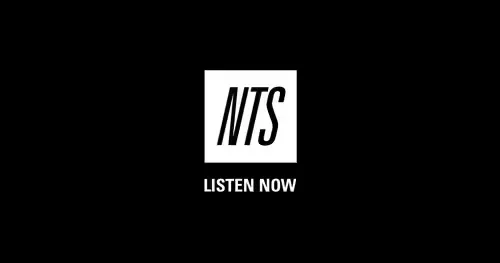 The Sounds of GTA | NTS