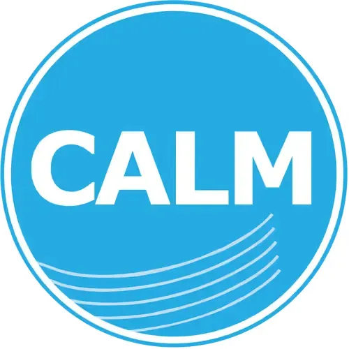 Calm Radio - Flute