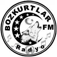 Bozkurtlar Fm Radyo