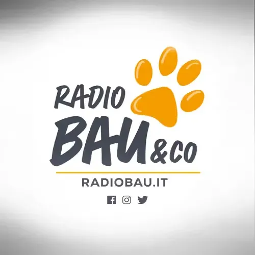 RMC Radio Bau && Co