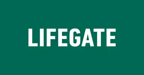 LifeGate International